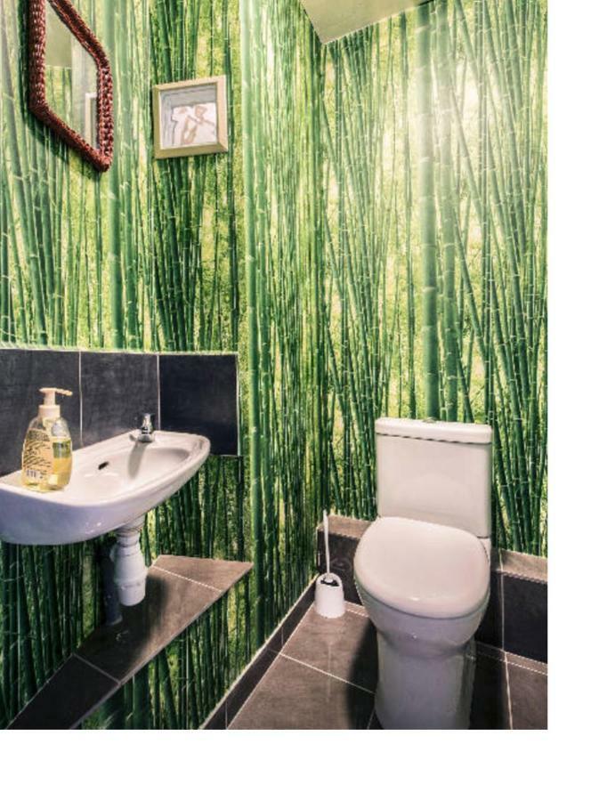 Duplex Sous Les Toits Apartment Palau-del-Vidre Ngoại thất bức ảnh
